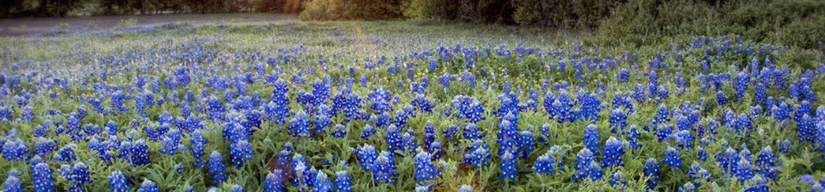 Darrell's Site – let's talk!